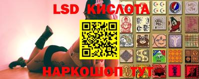 прущие крисы Мариинск