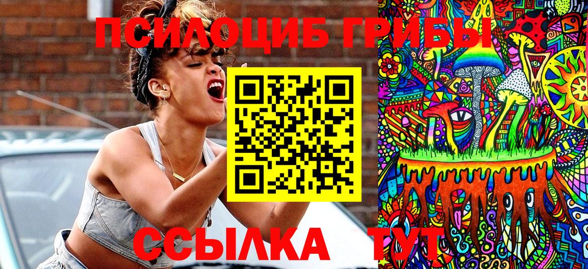 Псилоцибиновые грибы Psilocybine cubensis Красноперекопск
